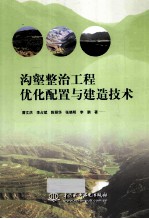 沟壑整治工程优化配置与建造技术