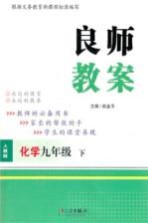 良师教案 化学 九年级 下 人教版
