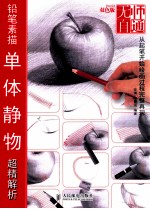 铅笔素描单体静物超精解析