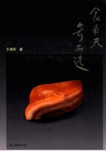 食为天奇石选