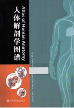 人体解剖学图谱