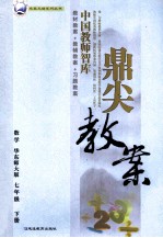 鼎尖教案 数学 华东师大版 七年级 下