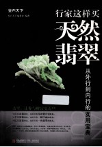 行家这样买天然翡翠 从外行到内行的实用宝典