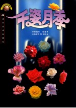 千姿月季