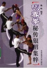 咏春拳:秘传狠招集粹