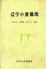 辽宁小麦栽培