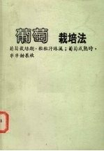 葡萄的栽培