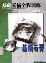 基础素描全程训练 提高篇 上，基础石膏