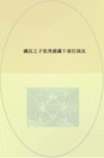 藏汉之子 优秀援藏干部任国庆