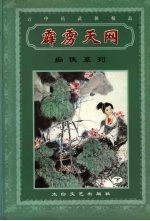 霹雳天网 下