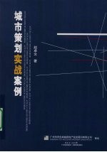 城市策划实战案例