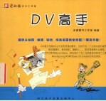 DV高手