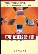 中小企业经营诊断