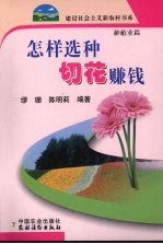 怎样选种切花赚钱