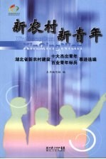 新农村 新青年:湖北省新农村建设十大杰出青年 百业青年标兵事迹选编