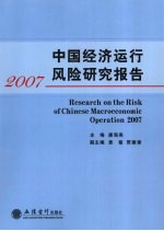 中国经济运行风险研究报告 2007