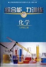 化学综合能力训练 九年级 上