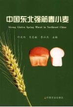中国东北强筋春小麦