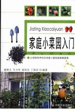 家庭小菜园入门