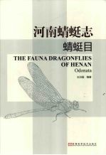 河南蜻蜓志 蜻蜓目