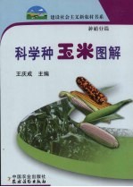 科学种玉米图解