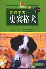 史宾格犬