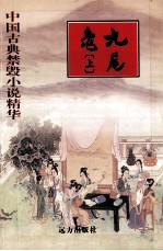 中国古典禁毁小说精华 九尾龟（上）