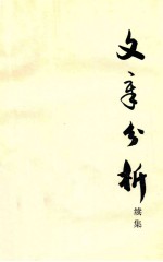 文章分析 续集