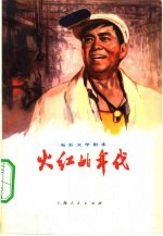 电影文学剧本 火红的年代