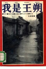 我是王朔 经历、创作谈、论爱情、作品片段、评论