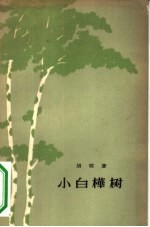 小白桦树