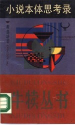 小说本体思考录