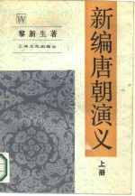 新编唐朝演义 上