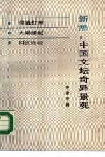新潮 中国文坛奇异景观