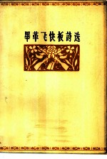 毕革飞快板诗选