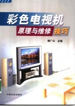 彩色电视机原理与维修技巧