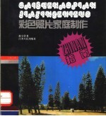 彩色照片家庭制作指南