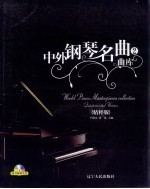 中外钢琴名曲曲库 精粹版 第2册
