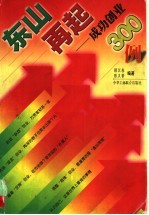 东山再起 成功创业300例