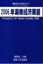 湖南经济展望 2006年
