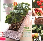 种子easy变盆栽 户外植物篇