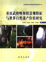 重庆武隆喀斯特景观特征与世界自然遗产价值研究