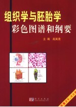 组织学与胚胎学彩色图谱和纲要
