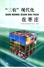 “三农”现代化在枣庄