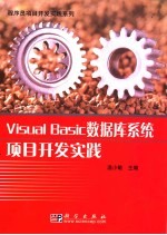Visual Basic数据库系统项目开发实践