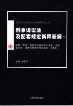刑事诉讼法及配套规定新释新解 下 第3版