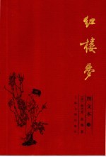红楼梦:图文本 3