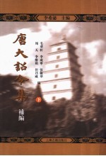 唐大诏令集补编 下