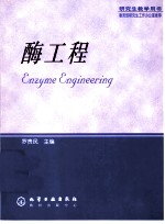 酶工程