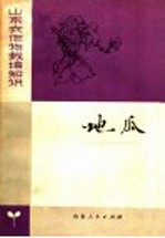 山东农作物栽培知识 地瓜
